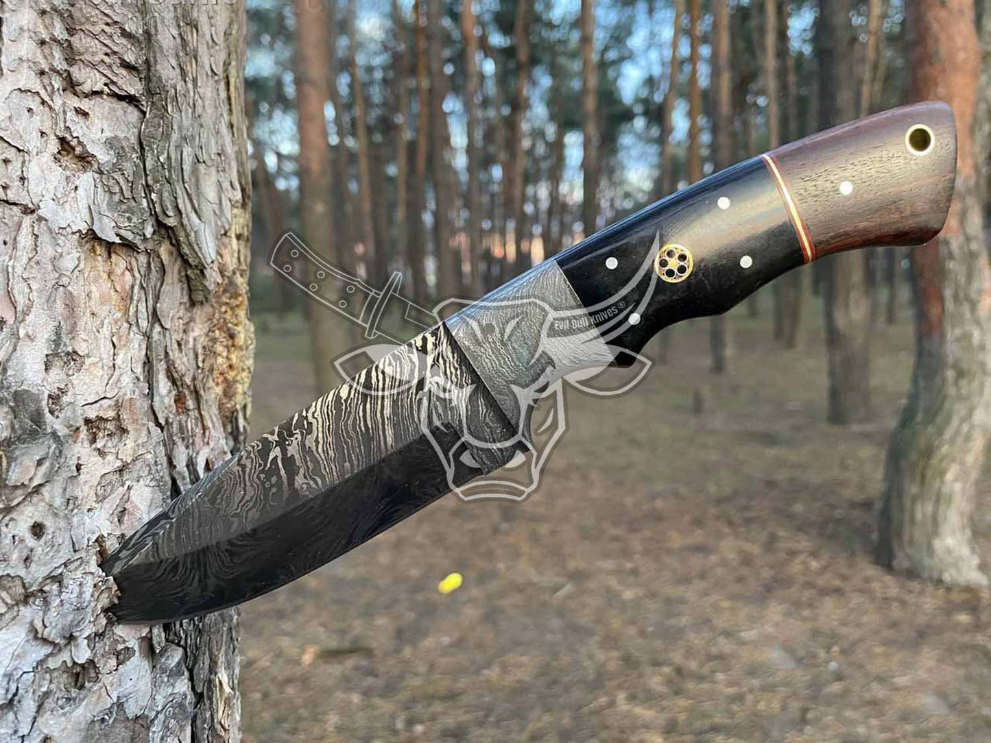 EBK-123 Buffalo Horn Damascus Steel Knife