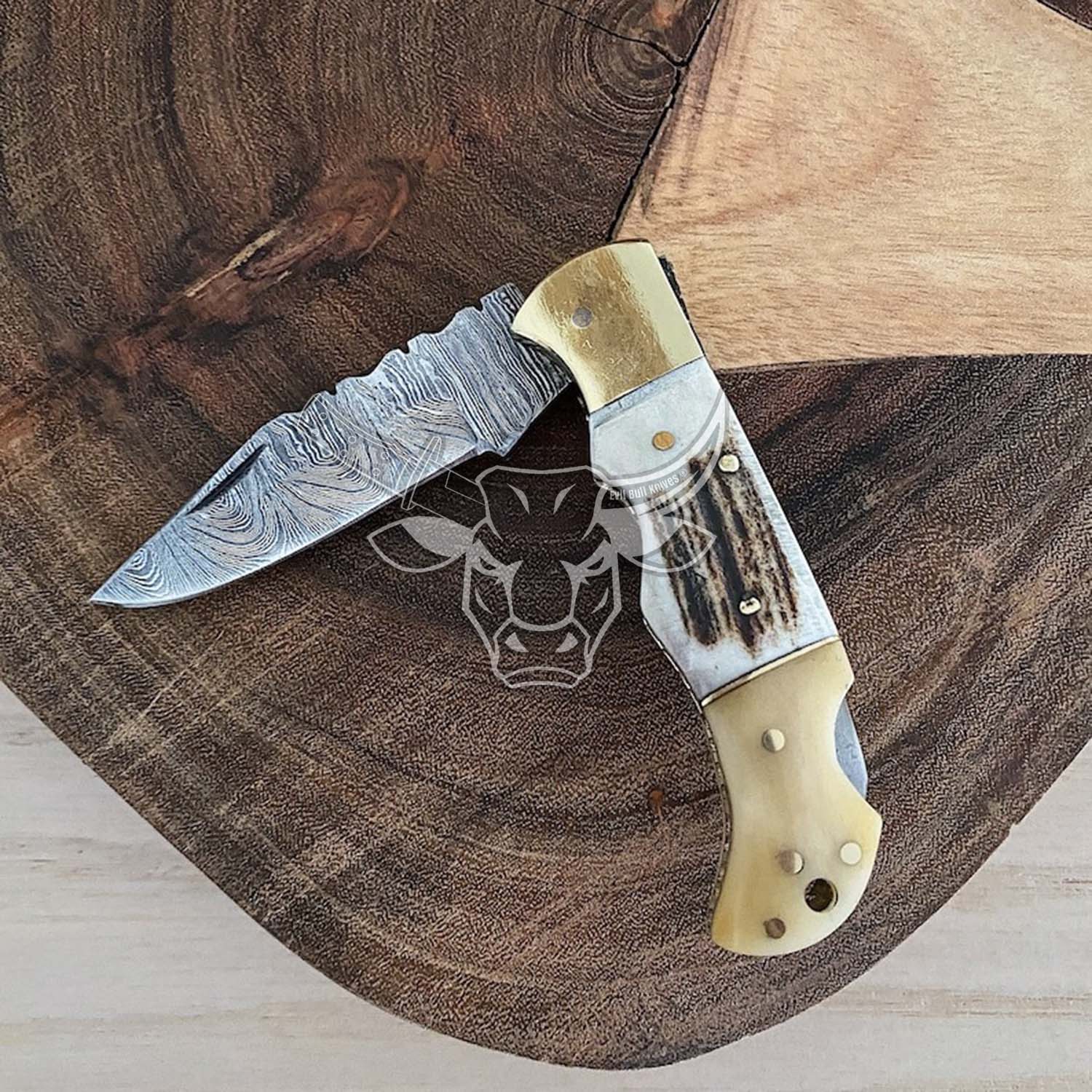 EBK-156 Pocket knife with brass and stag handle