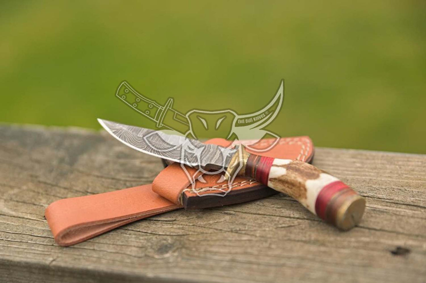 EBK-45 Custom FORGED DAMASCUS Steel Hunting Knife Stag With Brass Guard Handle Anniversary Gift , Christmas Gift For Him