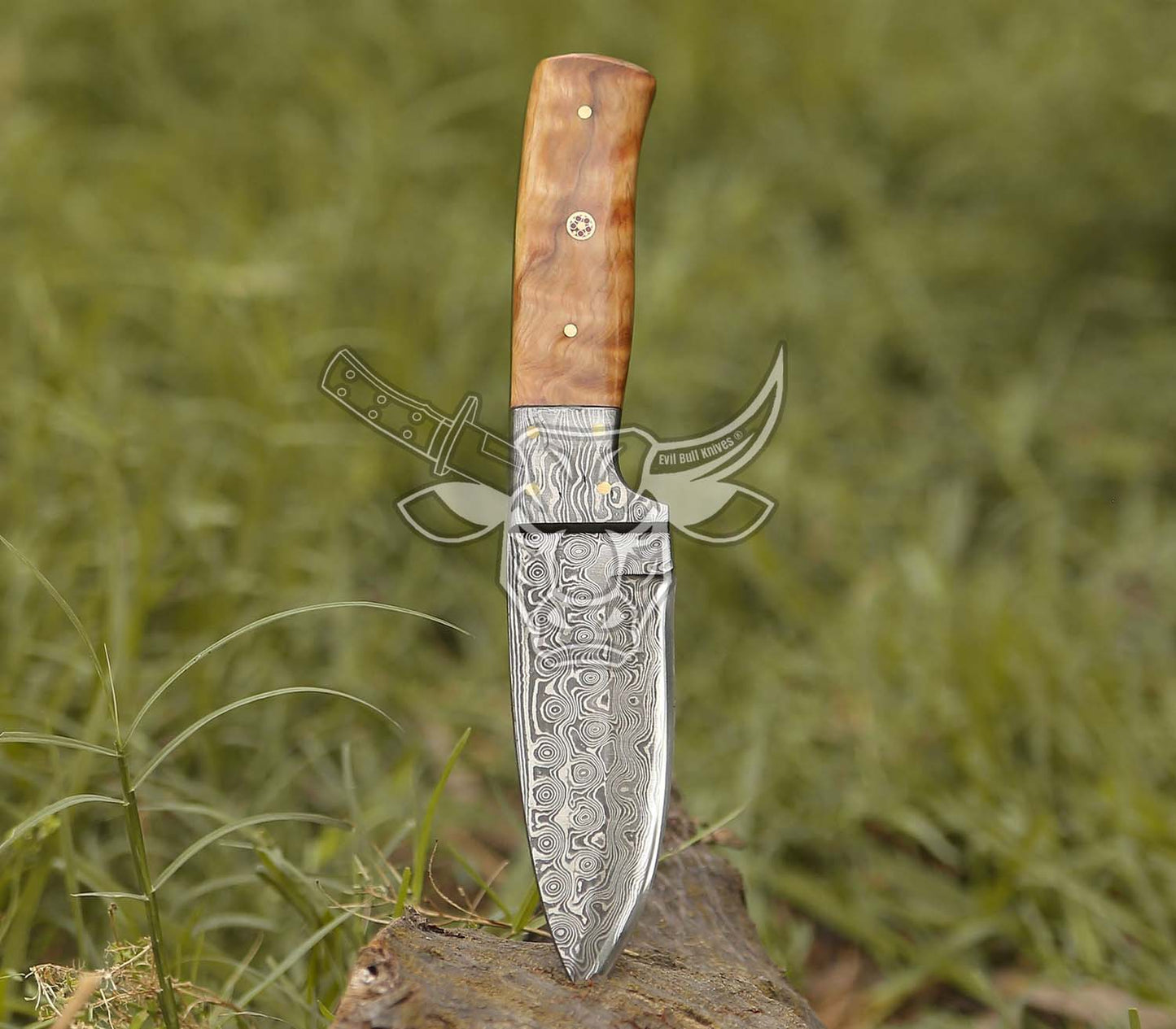 EBK-127 Custom Handmade Damascus Hutting Knife With Olive Wood Handle Anniversary Gift, Birthday Gift, Christmas Gift For Him