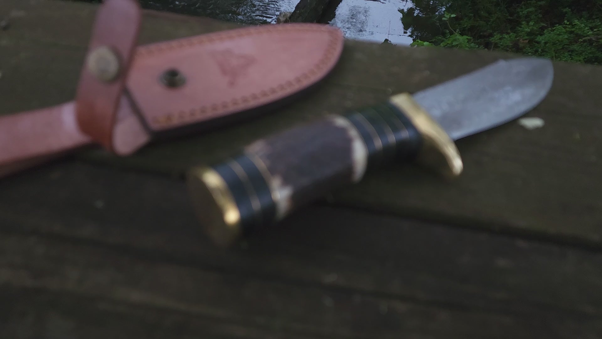 EBK-13 Stag Handle Knife