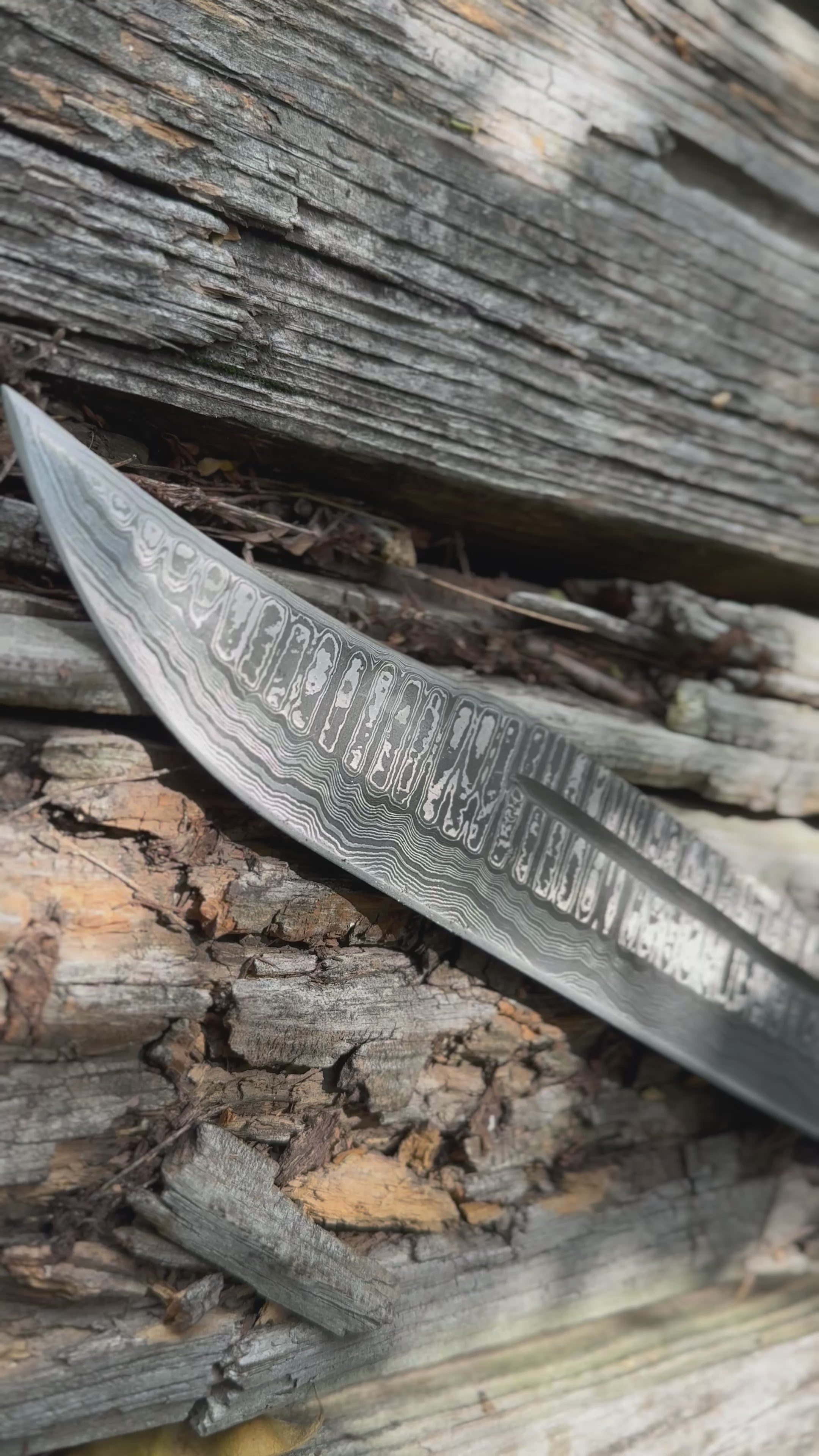 EBK-04 Rose Wood Handle Damascus Hunting Knife