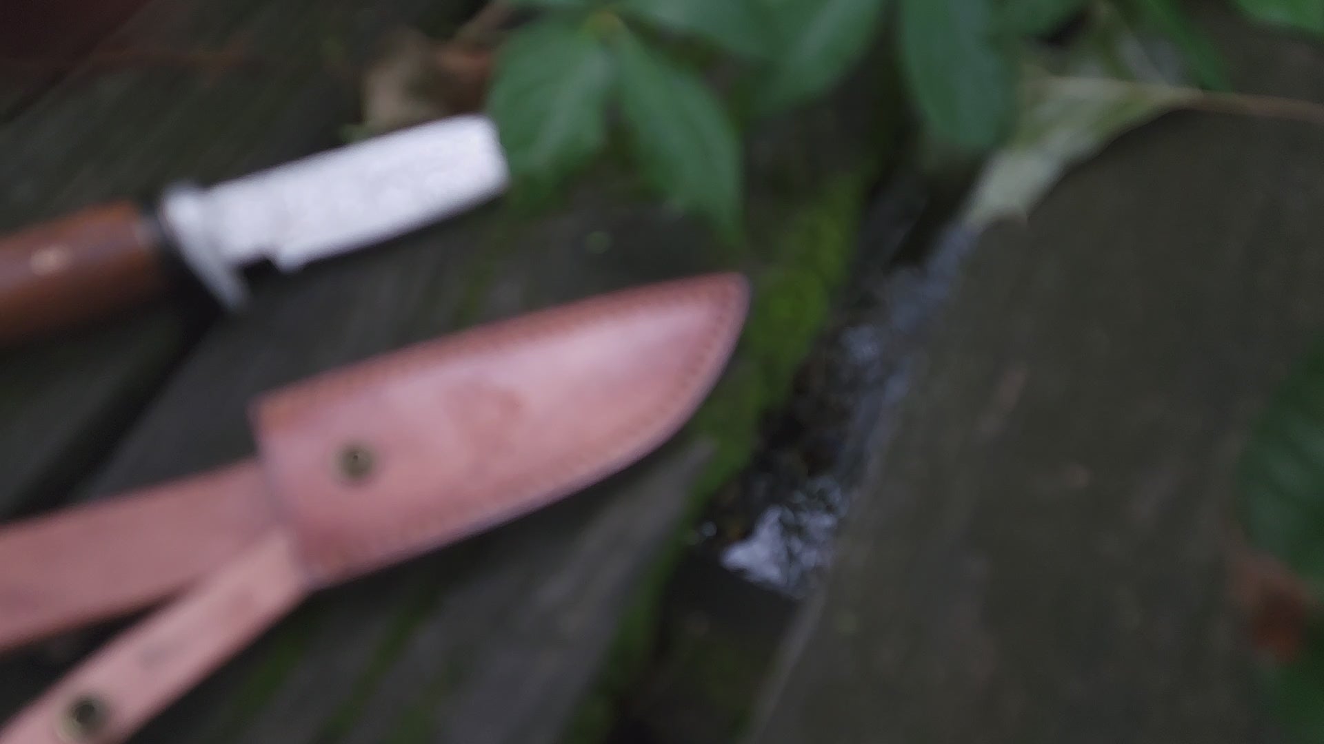 EBK-16 Bear Blade Knife