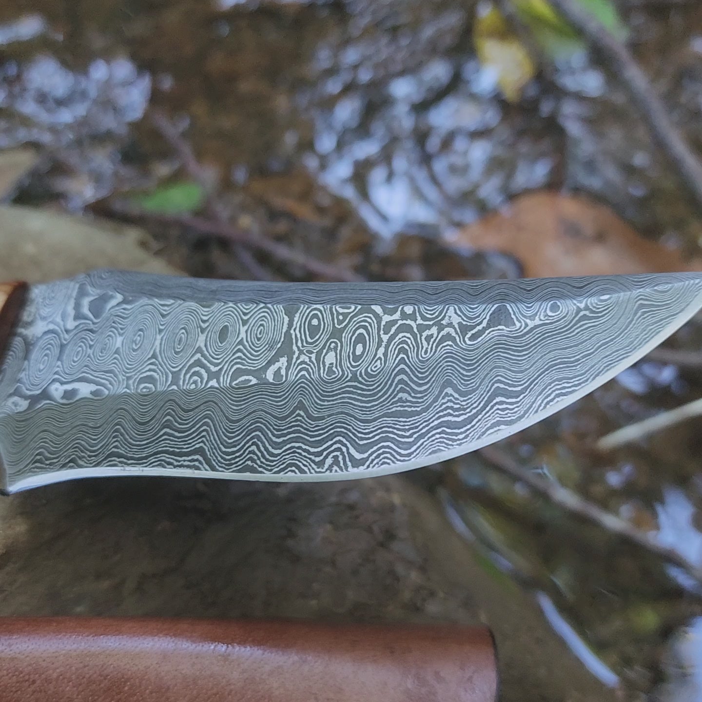 EBK-09 Damascus Steel Olive Wood Handle Knife